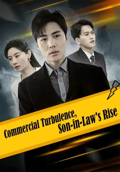 Commercial Turbulence, Son-in-Law's Rise
