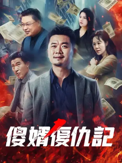 傻婿復仇記