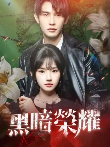 黑暗荣耀