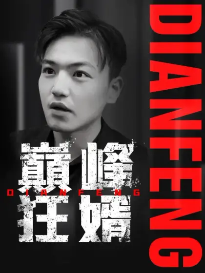 巔峰狂婿