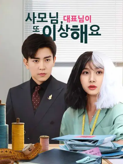 사모님, 대표님이 또 이상해요
