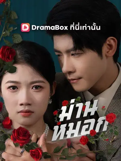 ม่านหมอก