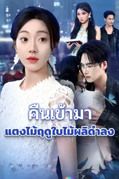คืนเข้ามา แตงไม้ฤดูใบไม้ผลิดำลง