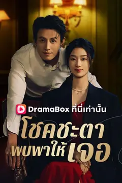 โชคชะตาพบพาให้เจอ(พากย์ไทย)