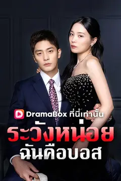 ระวังหน่อย ฉันคือบอส(พากย์ไทย)