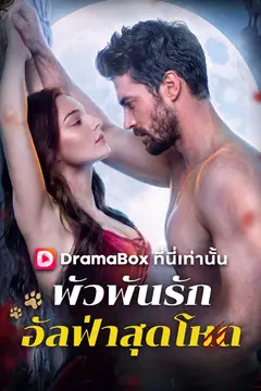 พัวพันรักอัลฟ่าสุดโหด