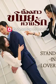 น้องสาวขโมยความรัก(พากย์ไทย)
