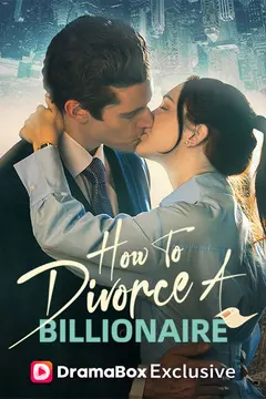 How to Divorce a Billionaire