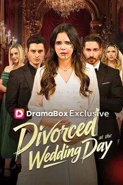 Divorced at the Wedding Day