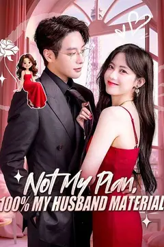 Not My Plan, 100% My Husband Material