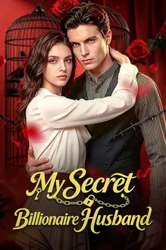 My Secret Billionaire Husband