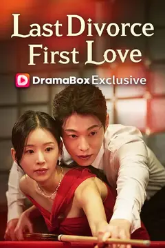 My Last Divorce, My First Love（DUBBED）