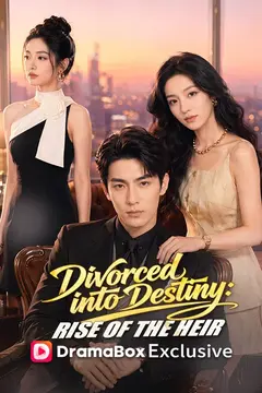 Divorced into Destiny: Rise of the Heir