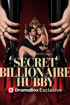 Don’t Mess With Your Secret Billionaire Hubby