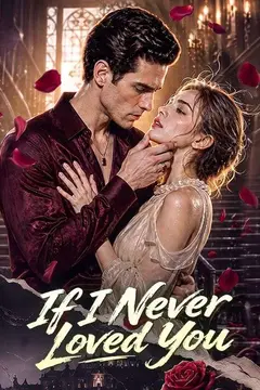 If I Never Loved You