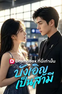 บังเอิญเป็นสามี(พากย์ไทย)