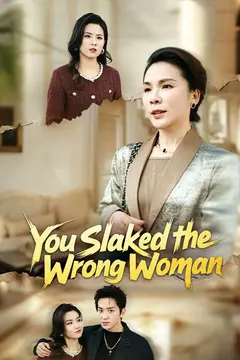 You Slapped the Wrong Woman