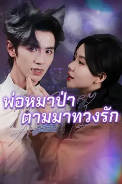 พ่อหมาป่าตามมาทวงรัก