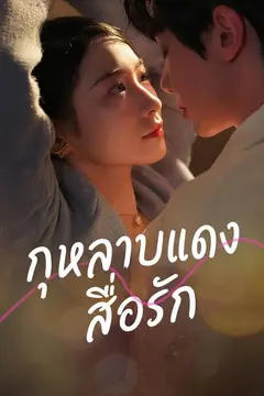 กุหลาบแดงสื่อรัก