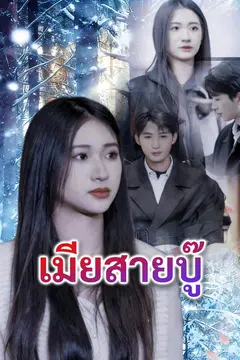 เมียสายบู๊