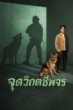 จุดวิกฤตชีพจร