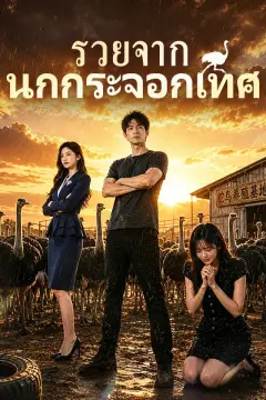 รวยจากนกกระจอกเทศ